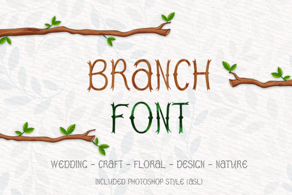 Branch: A Bold Display Font